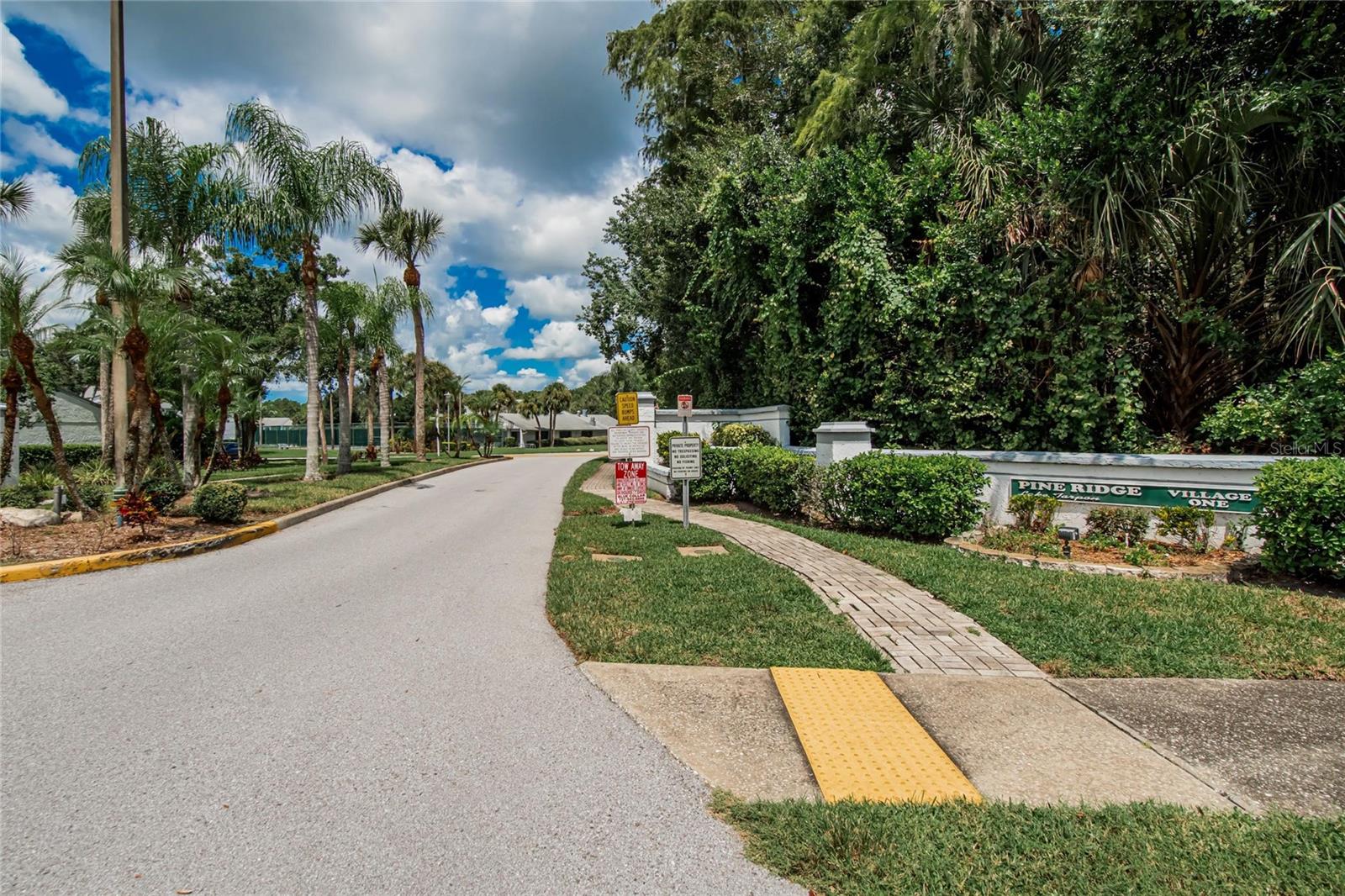PINE RIDGE AT LAKE TARPON VILLAGE - Residential
