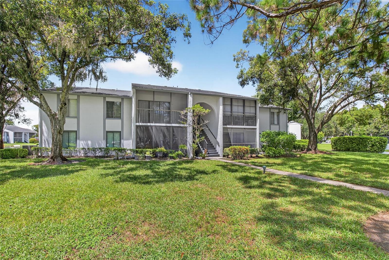 PINE RIDGE AT LAKE TARPON VILLAGE - Residential