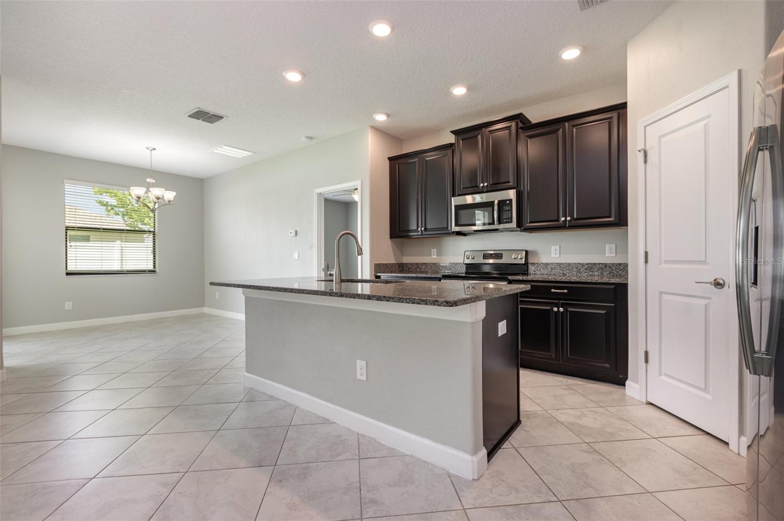 13246 SATIN LILY DRIVE