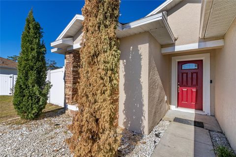 A home in KISSIMMEE