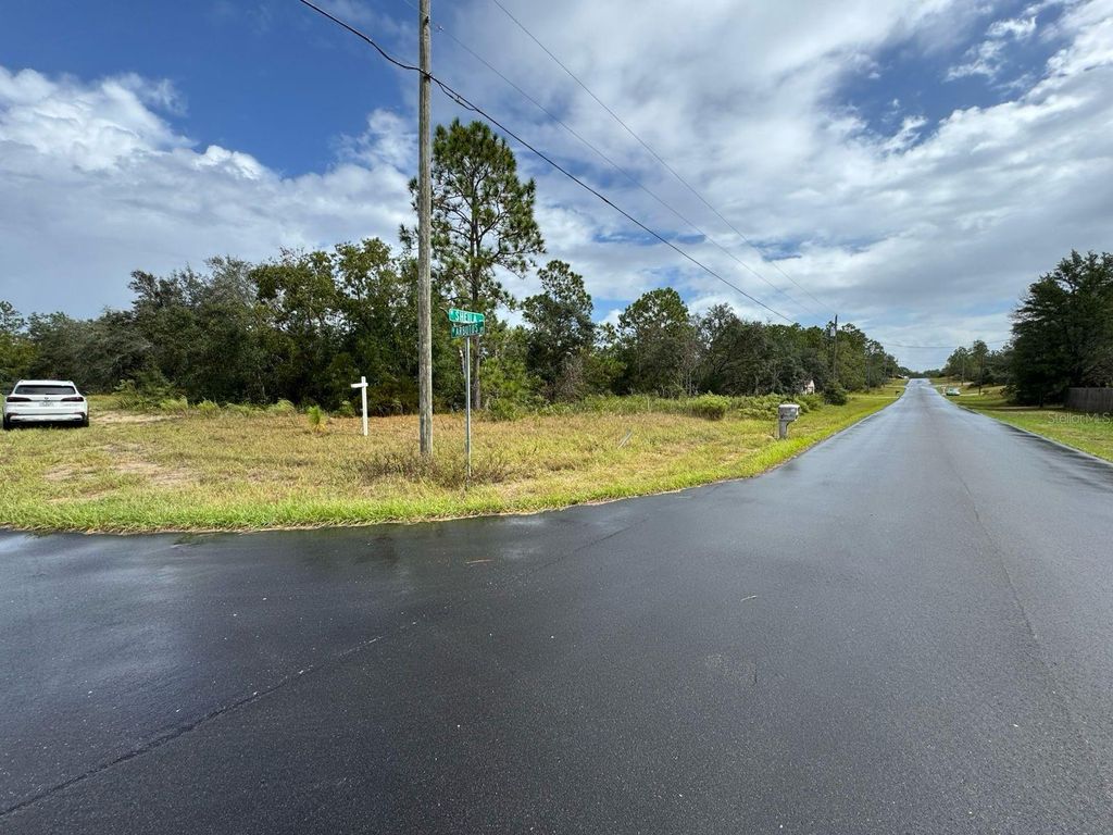 Photo of 2845 W Sheila Drive, Citrus Springs, FL 34433 (MLS # O6384767)