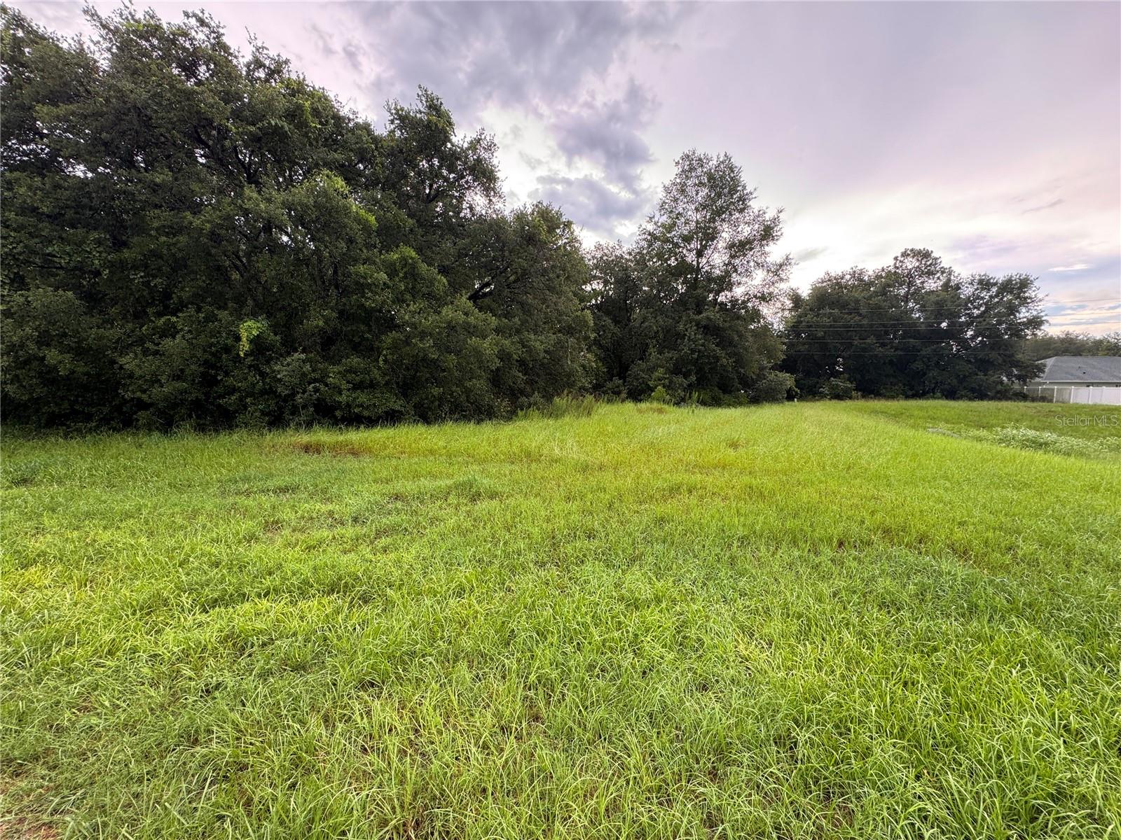 Don’t miss this fantastic opportunity to own a buildable 0.26-acre lot in the thriving community of Marion Oaks. Surrounded by both new construction and established homes, this area is quickly becoming one of the most desirable places to build in Marion County.
Enjoy easy access to Hwy 484, I-75, and SR-200, making commuting a breeze and putting you just minutes from shopping, dining, and entertainment options. Whether you're planning your forever home or an investment property, this lot offers the perfect blend of convenience and potential in an up-and-coming neighborhood.
No HOA and ready for your vision—come see what makes Marion Oaks a top choice for builders and buyers alike!