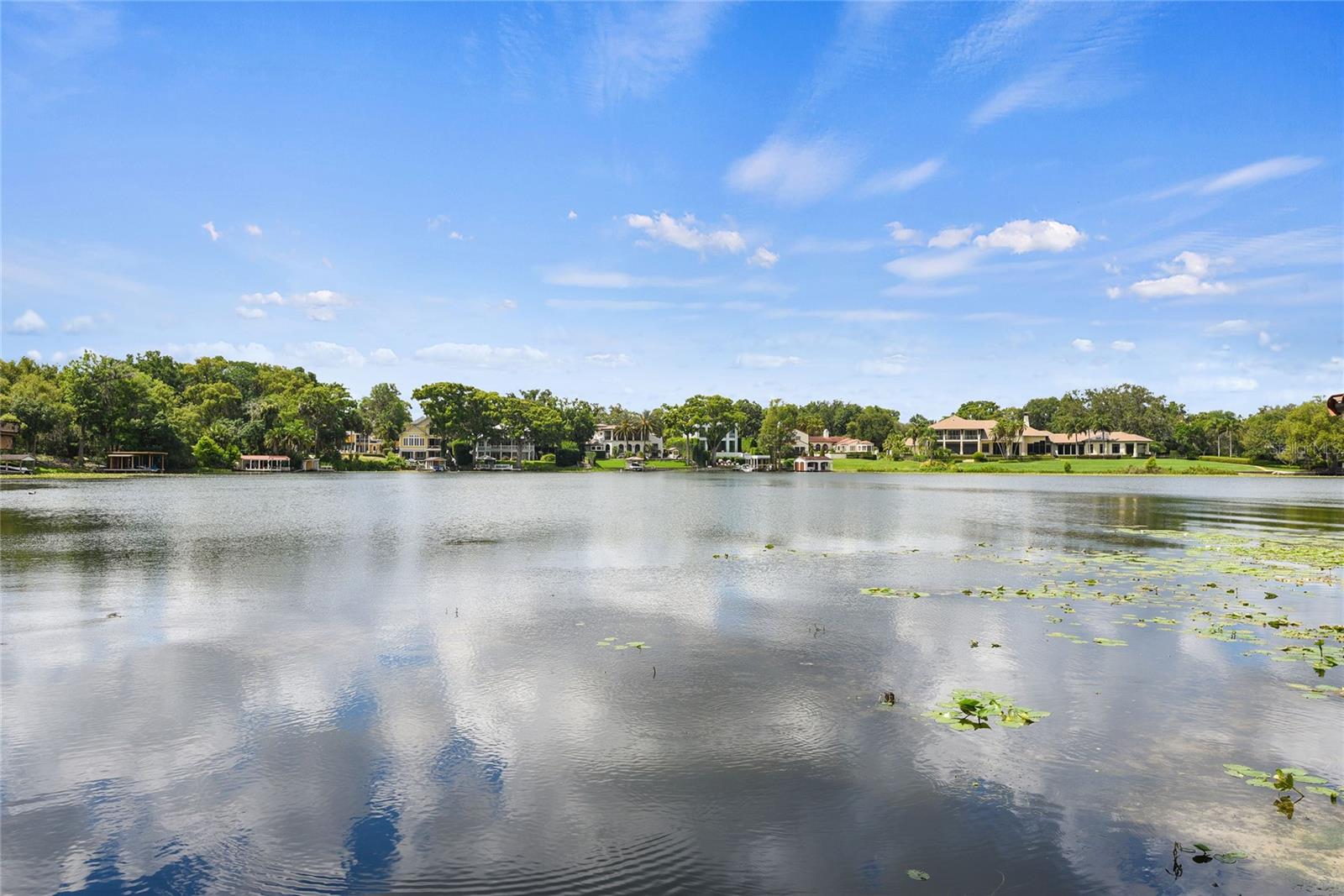 COMSTOCK PARK - Residential