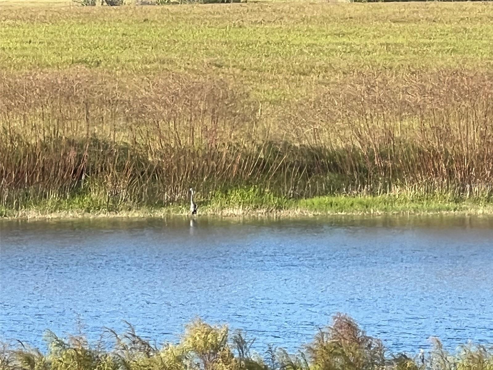 MOSS BLUFF RANCHES - Land