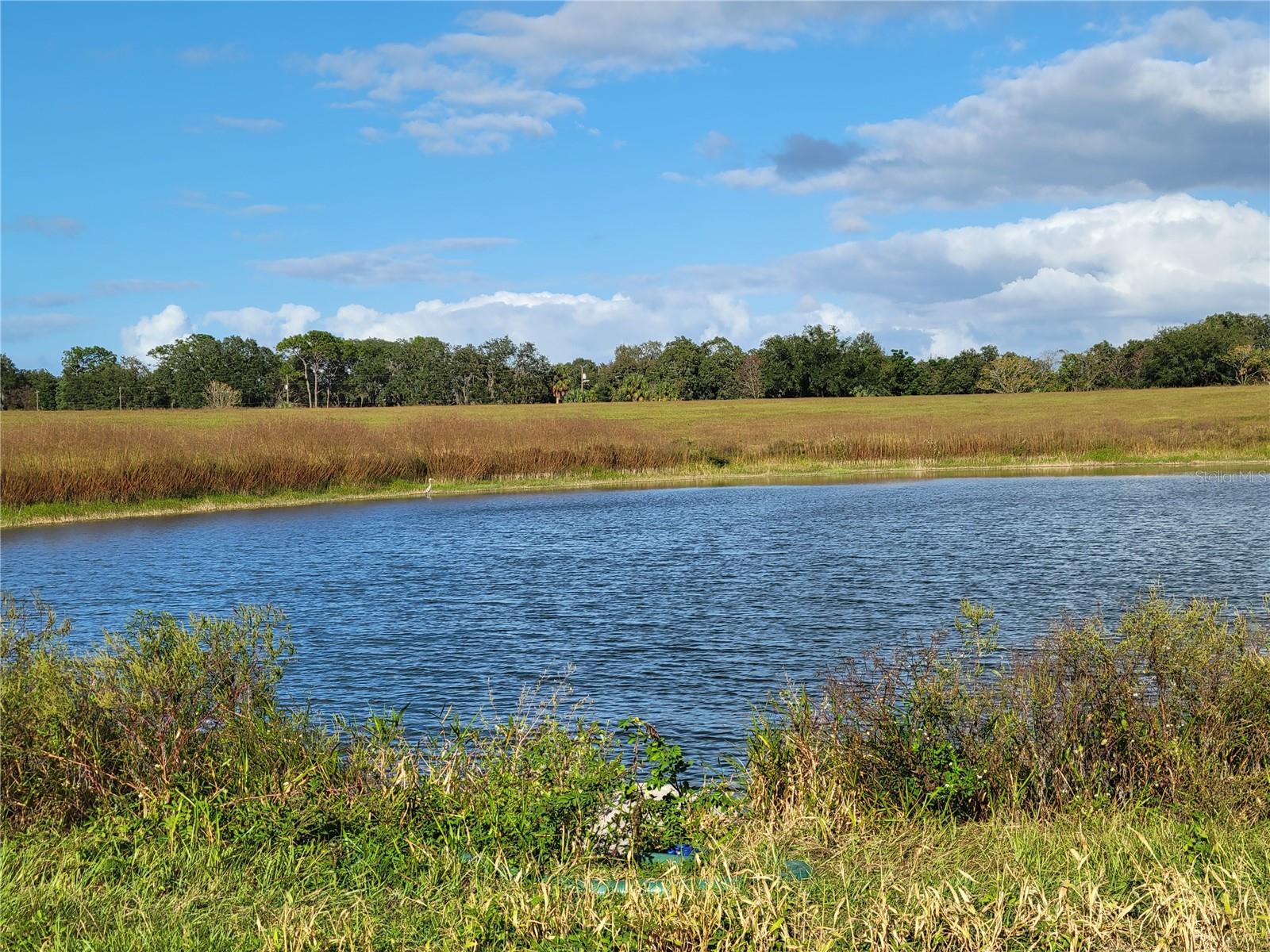 MOSS BLUFF RANCHES - Land