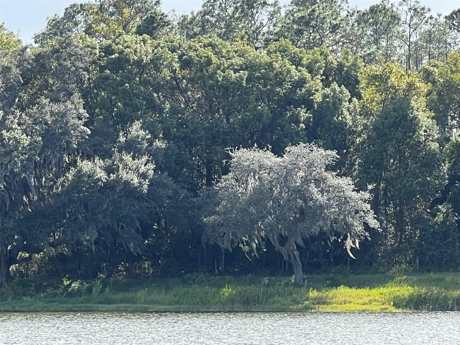 MOSS BLUFF RANCHES - Land