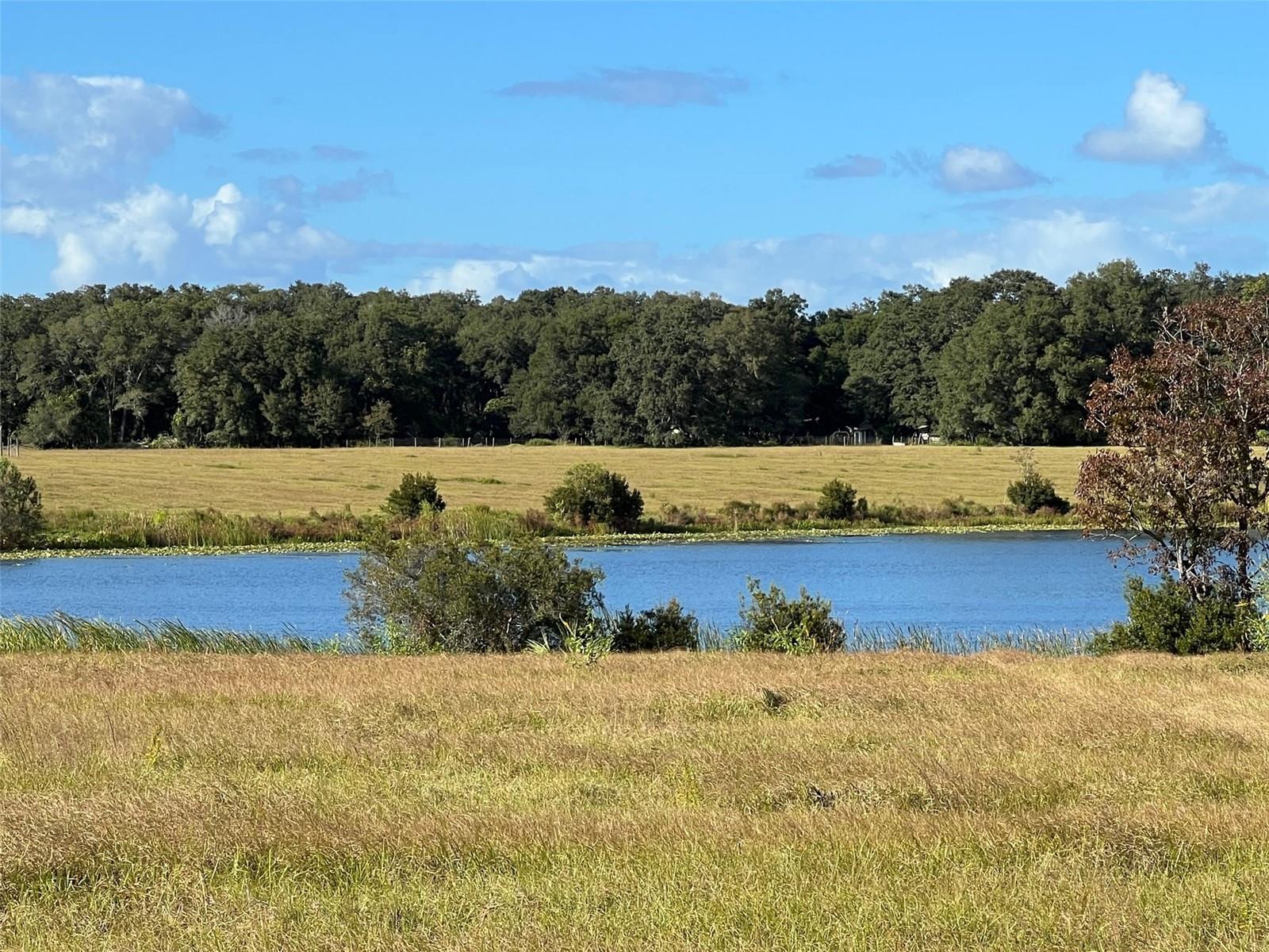 MOSS BLUFF RANCHES - Land