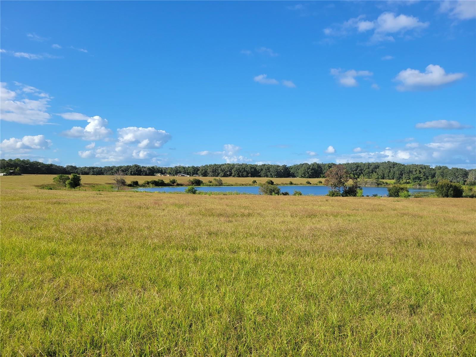 MOSS BLUFF RANCHES - Land