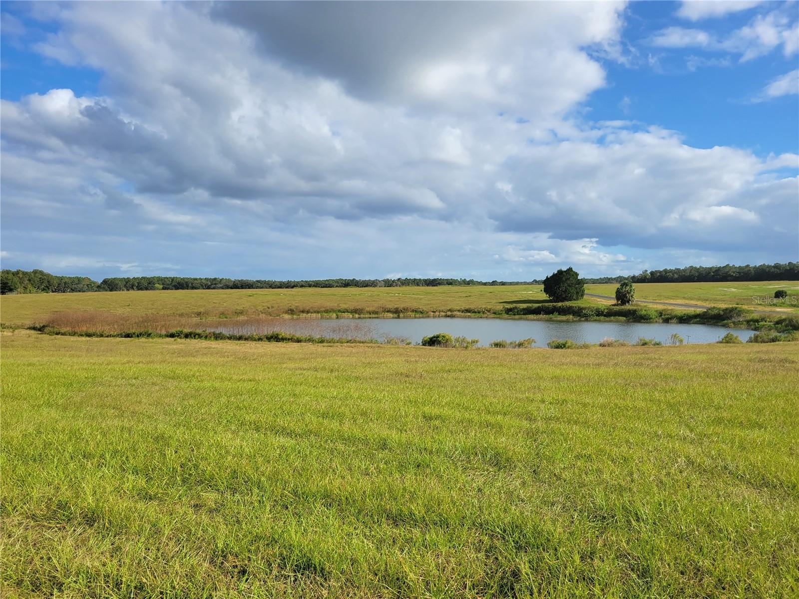 MOSS BLUFF RANCHES - Land