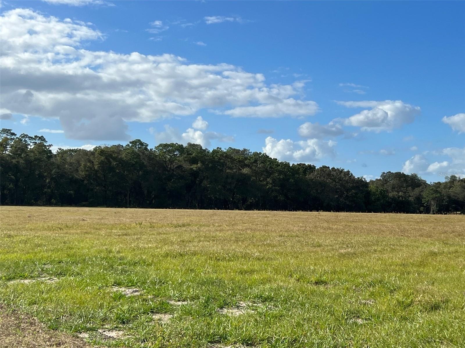 MOSS BLUFF RANCHES - Land