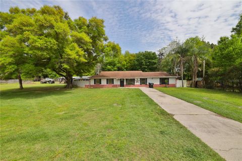 A home in MOUNT DORA