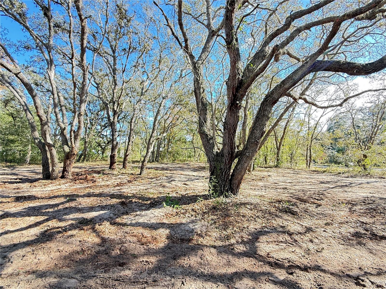 CITRUS HILLS 1ST ADD - Land