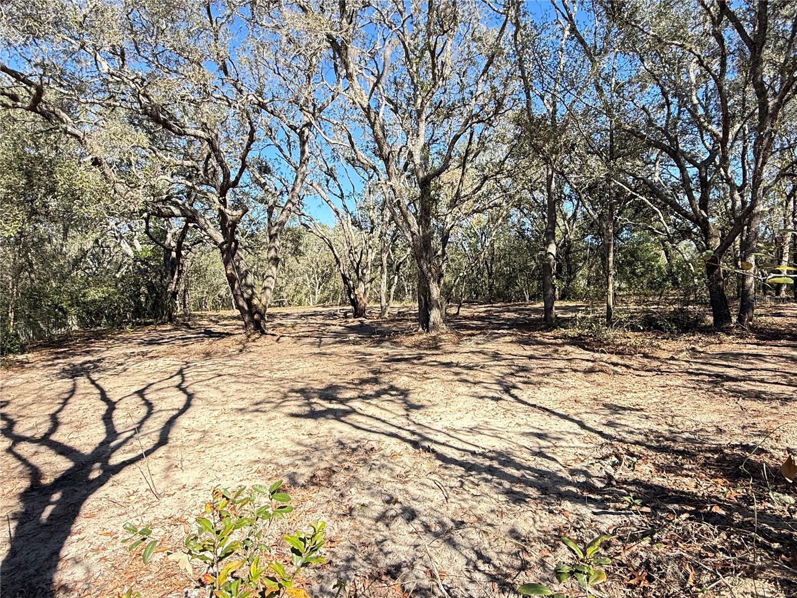 CITRUS HILLS 1ST ADD - Land