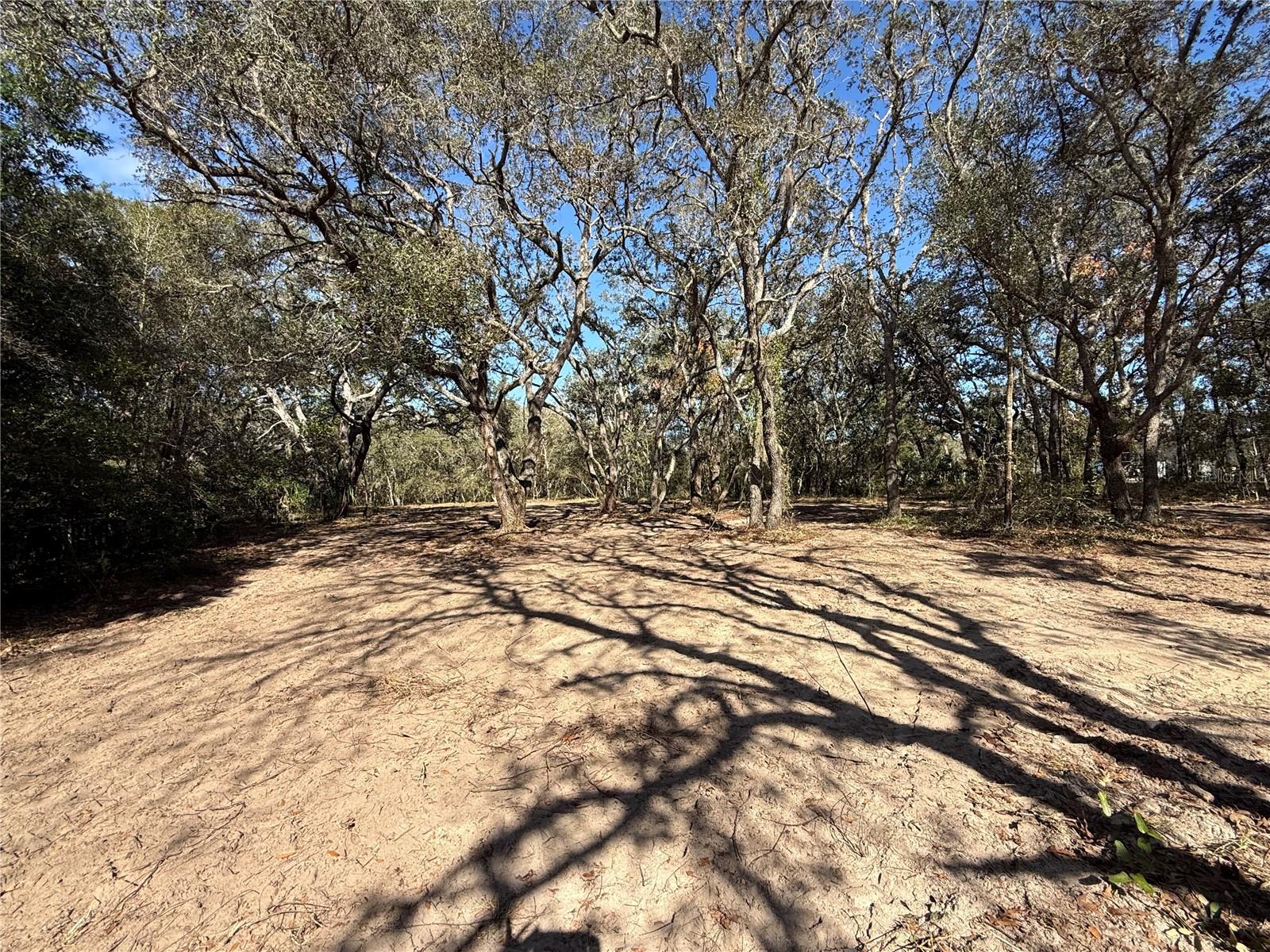 CITRUS HILLS 1ST ADD - Land