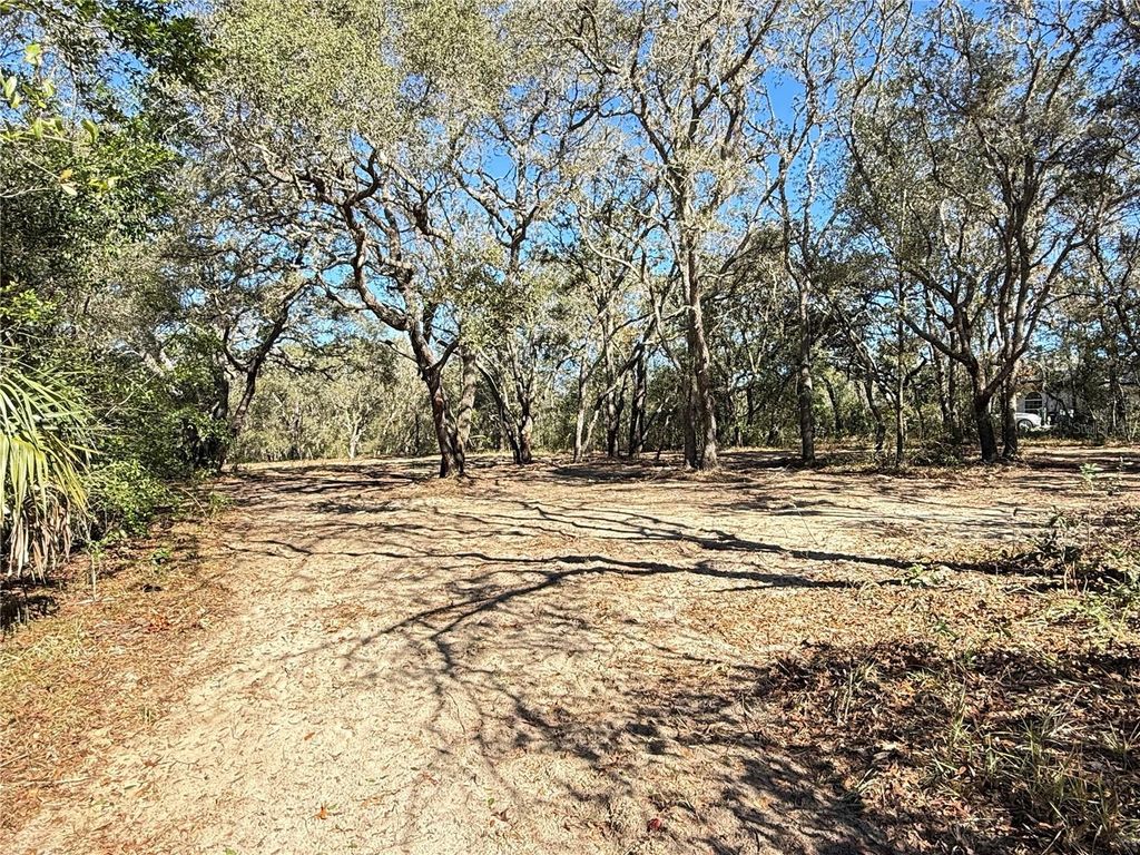 Photo of 131 W Massachusetts Street, Hernando, FL 34442 (MLS # TB8466039)