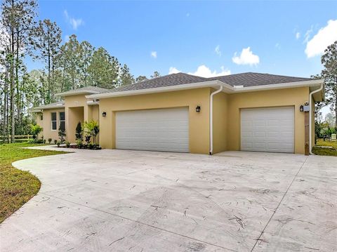Photo of 19022 Mardi Gras Street, Orlando, FL 32833 (MLS # O6372436)