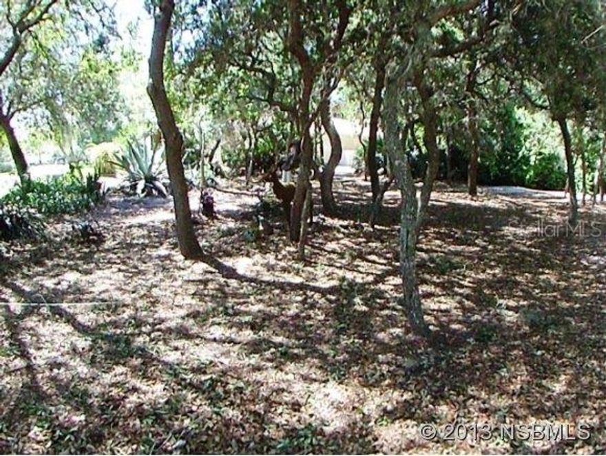 Partially cleared lot located next to home listed for sale on Bottle Brush in the Sugar Mill Country Club Community. Price for lot and home ML#1016847 combined is $254,900.; Cleared: Partial ;Water: Available at Site