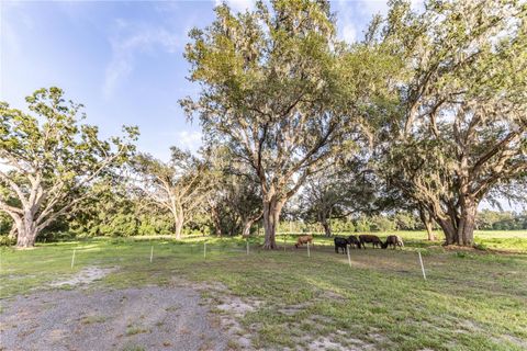 Tiny photo for 12523 Cr 721, Webster, FL 33597 (MLS # G5112277)