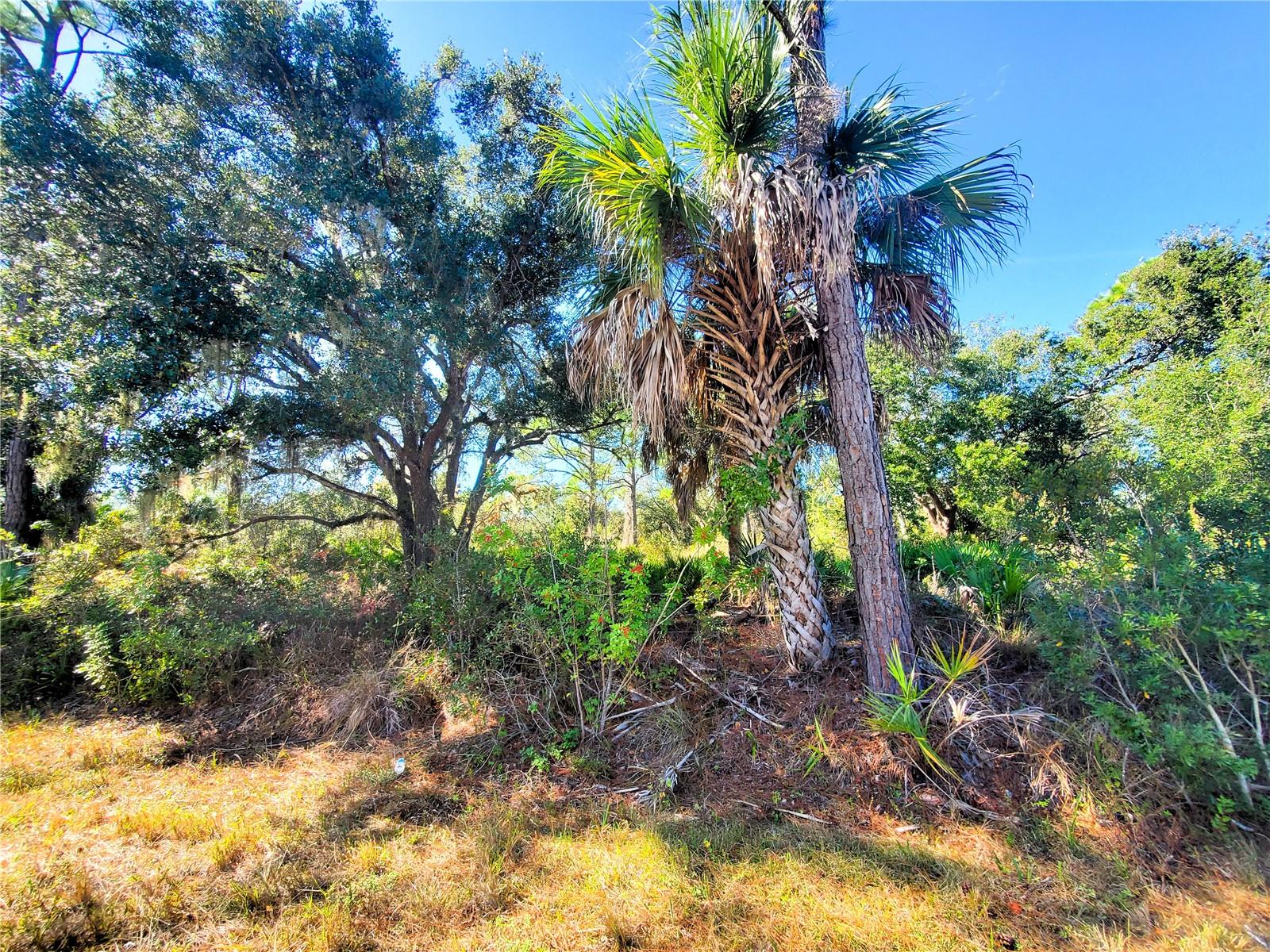 PORT CHARLOTTE SEC 029 - Land