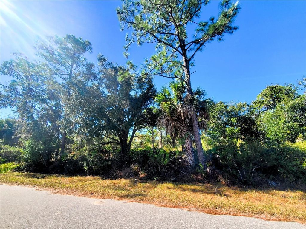 Photo of 1603 Frisco Terrace, Port Charlotte, FL 33953 (MLS # C7519827)