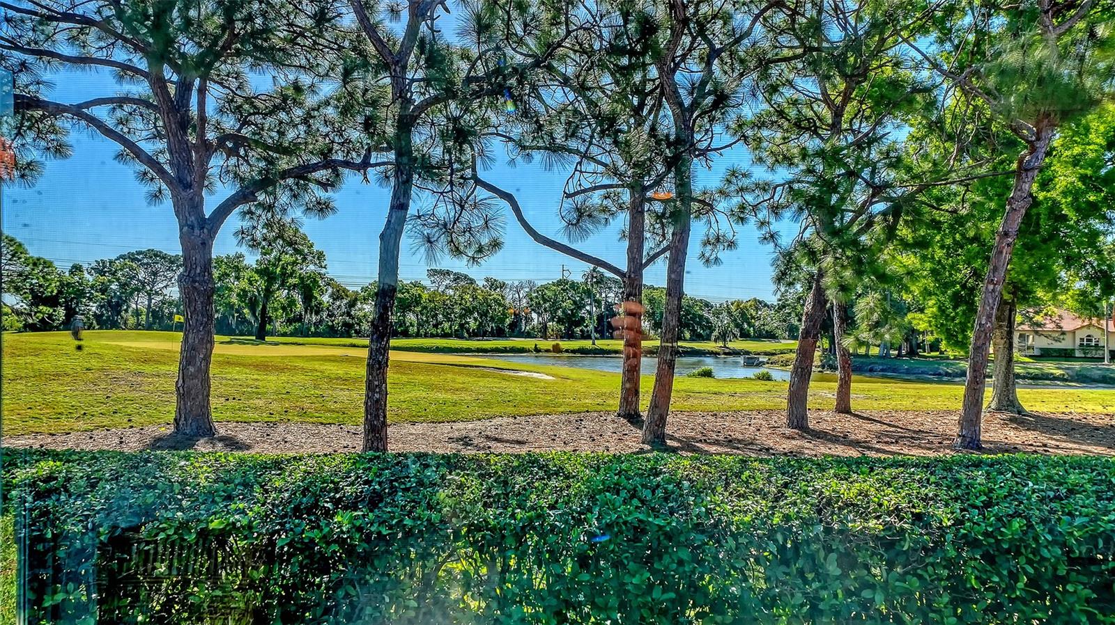 CHELMSFORD CLOSE - Residential