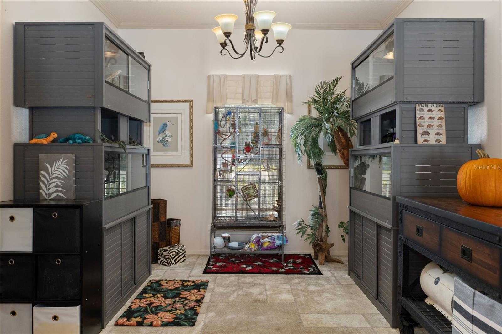 SHAMROCK ACRES PH 03 UNREC - Residential