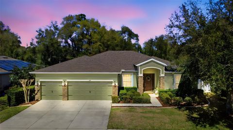 Photo of 504 Morgan Wood Drive, Deland, FL 32724 (MLS # V4947528)