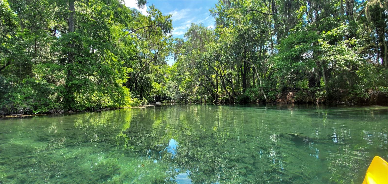 RAINBOW SPRINGS THE FOREST - Residential