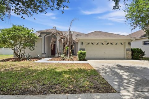 Photo of 16825 Harrierridge Place, Lithia, FL 33547 (MLS # O6399729)