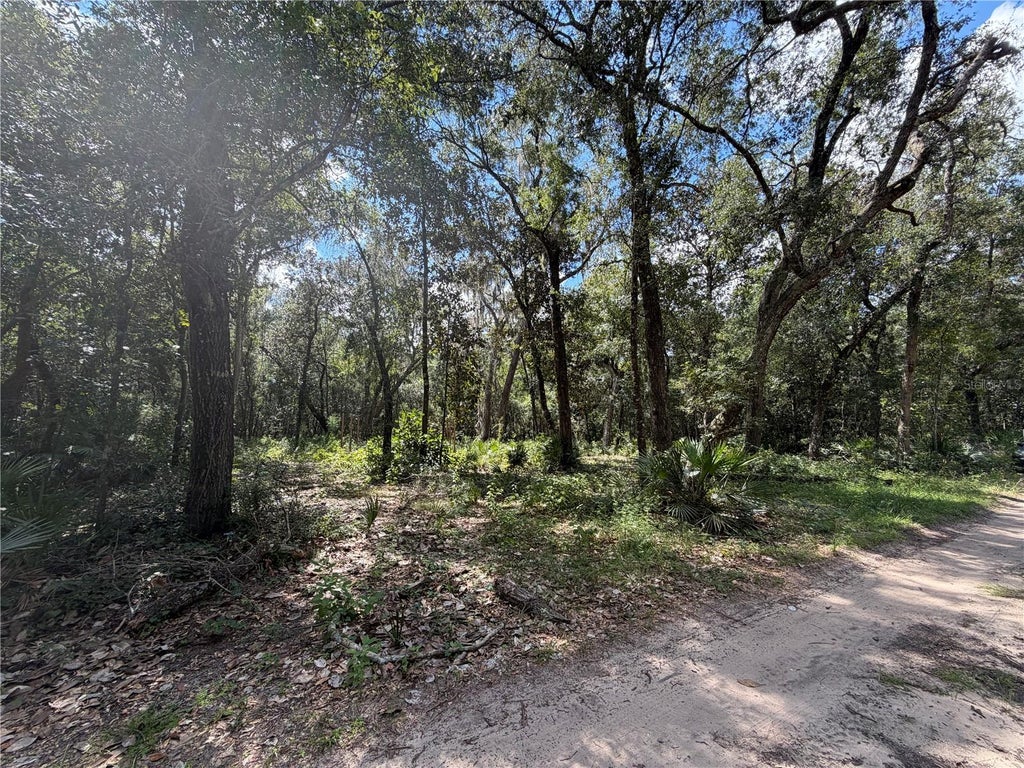 Photo of 0 NE 37th Street, Silver Springs, FL 34488 (MLS # OM732656)