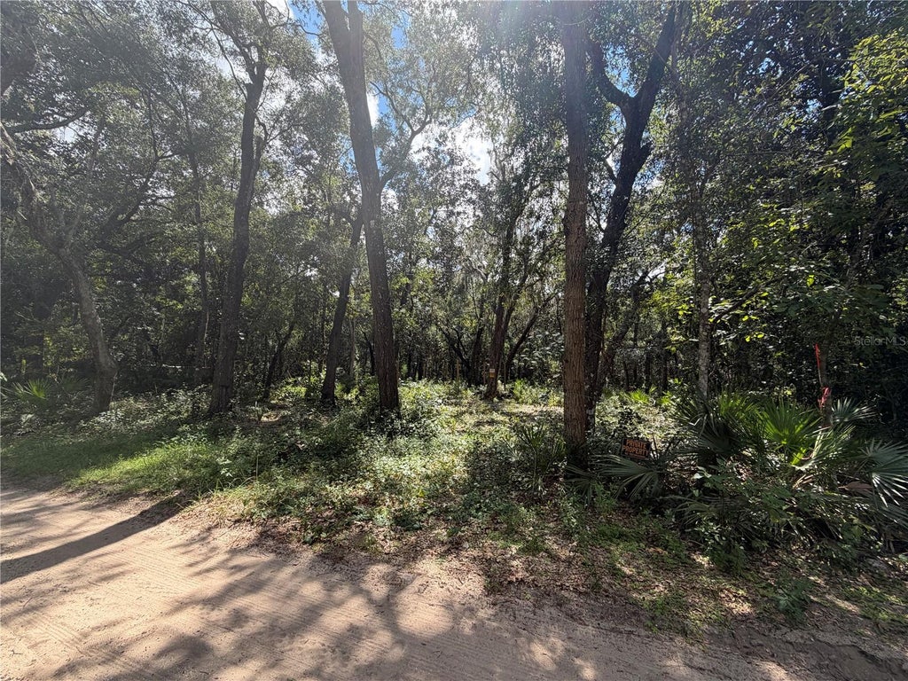 Photo of 0 NE 37th Street, Silver Springs, FL 34488 (MLS # OM732656)