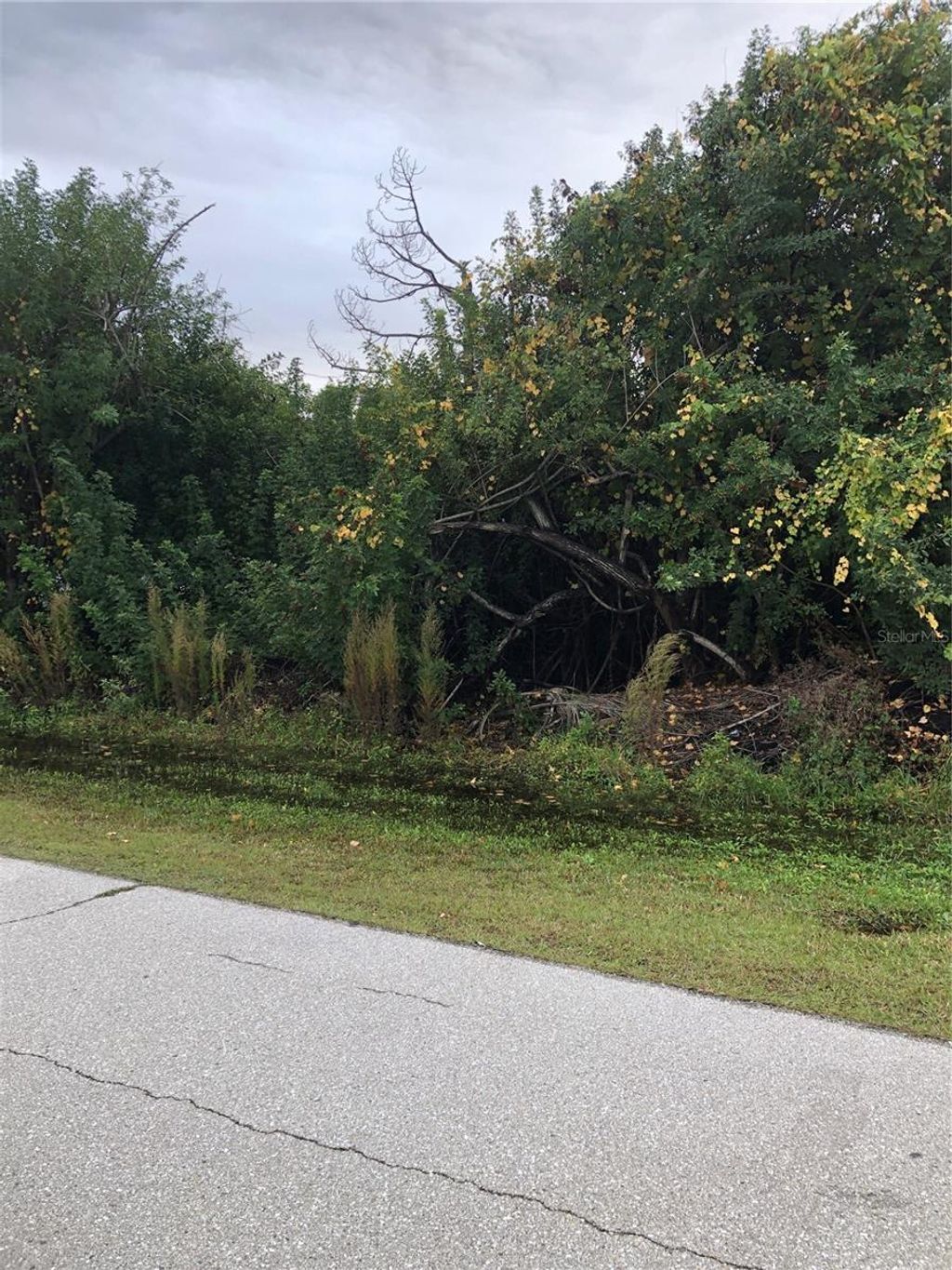 Photo of 14319 Allensworth Avenue, Port Charlotte, FL 33981 (MLS # D6135727)