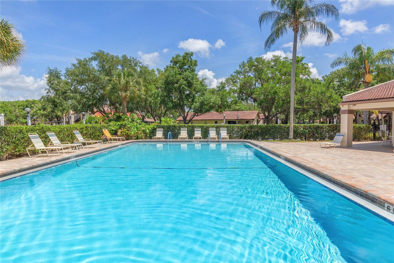 TARPON WOODS CONDO 4 - Residential
