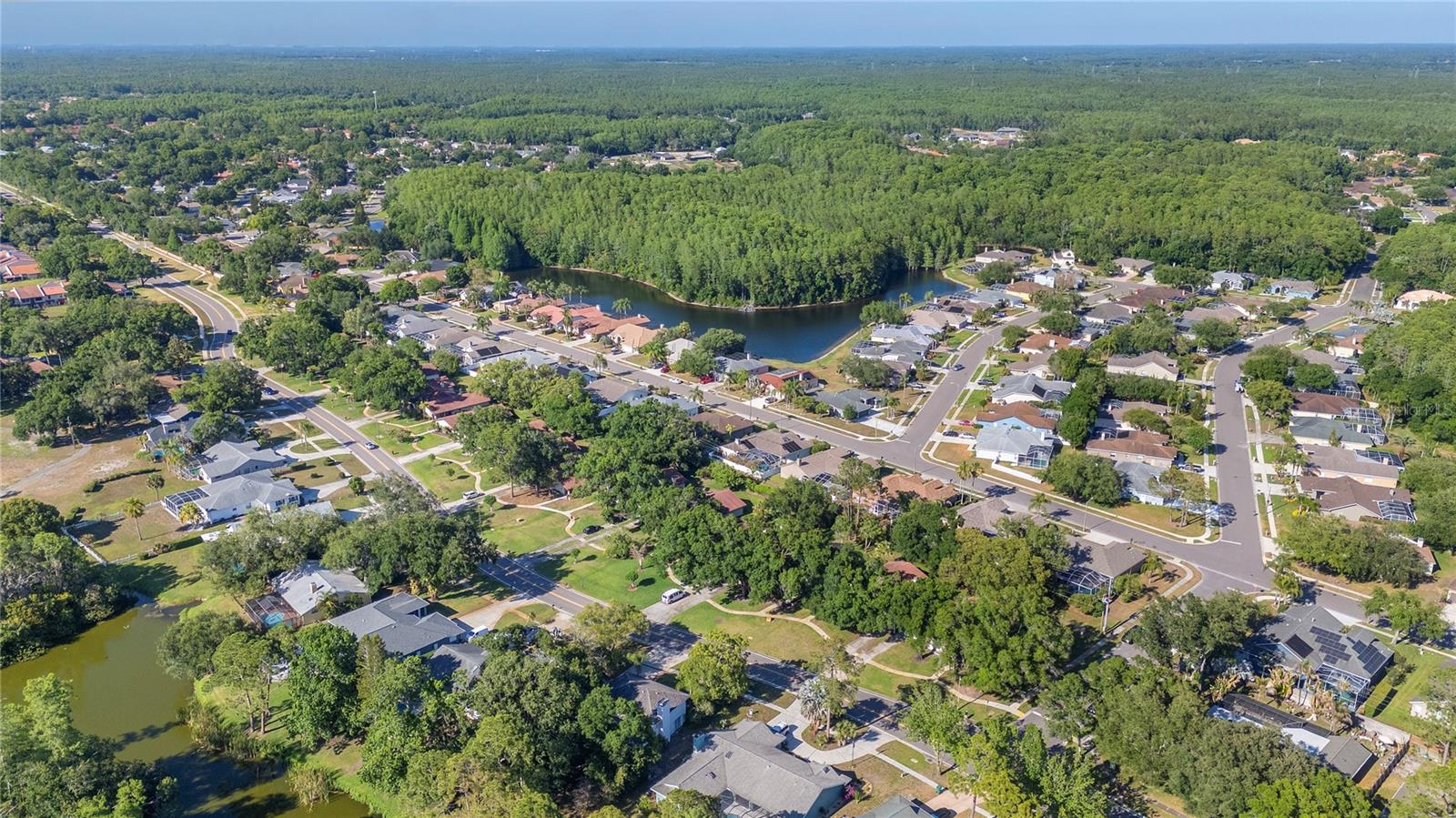 TARPON WOODS CONDO 4 - Residential
