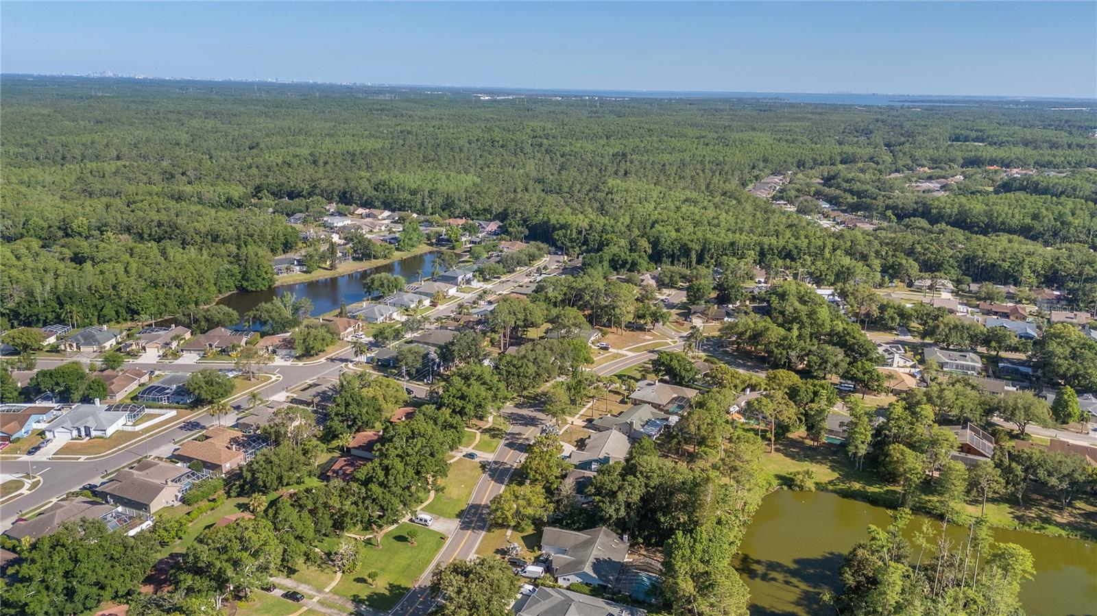 TARPON WOODS CONDO 4 - Residential