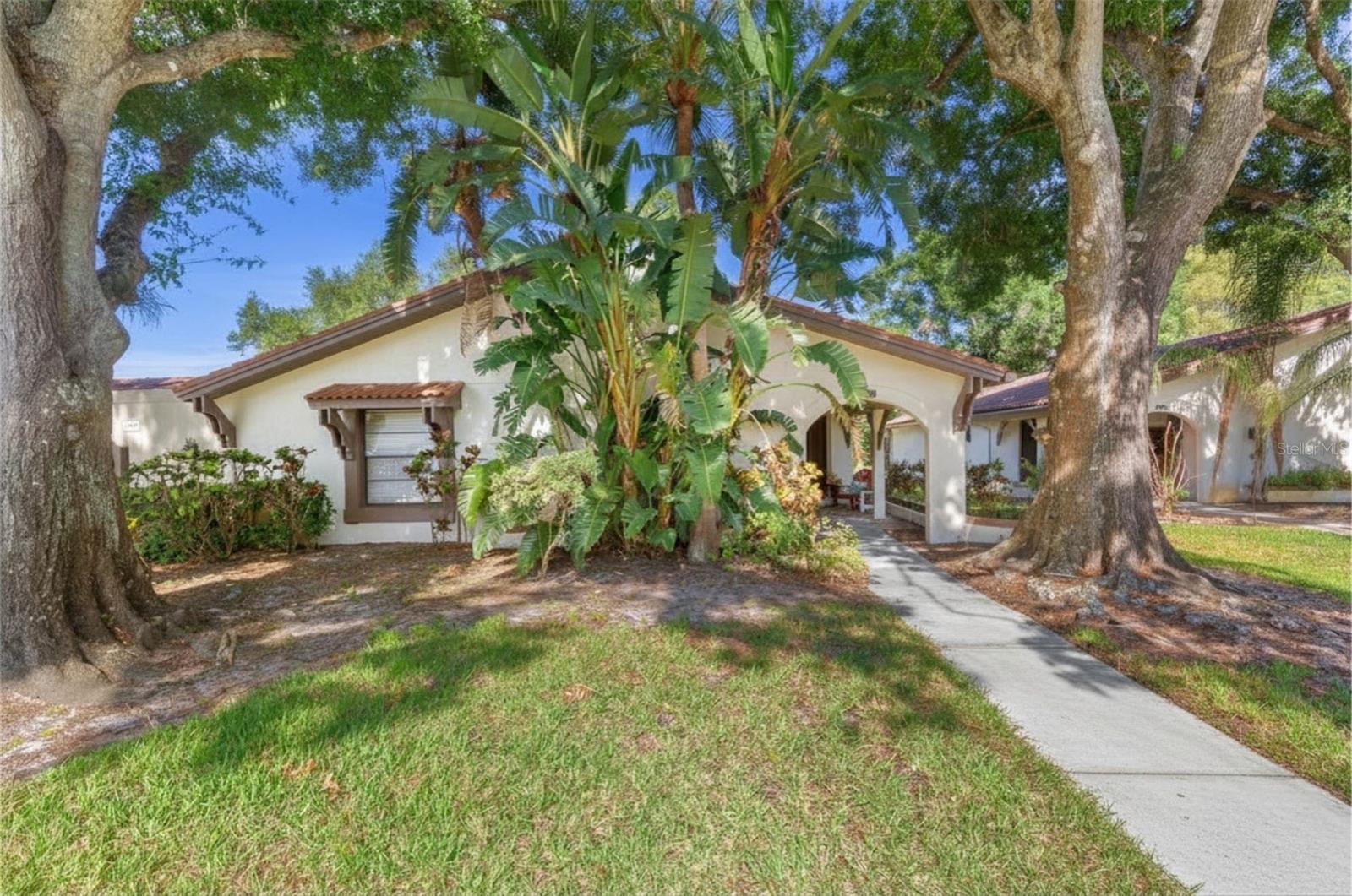 3446 TARPON WOODS BOULEVARD