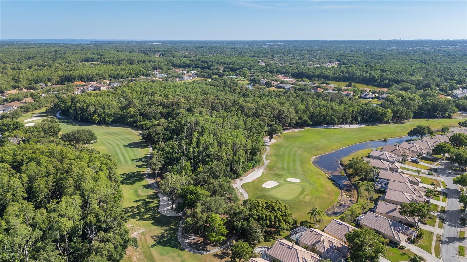 TARPON WOODS CONDO 4 - Residential
