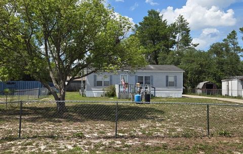 28523 POINSETTIA AVENUE PAISLEY FL 32767