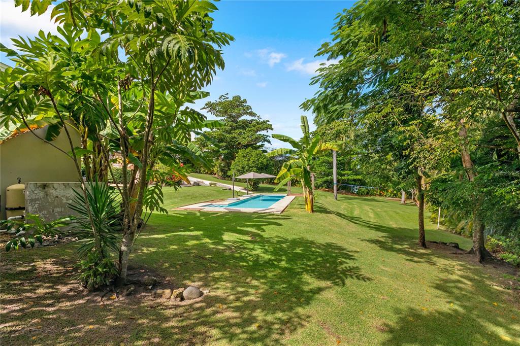 THE ESTATES AT DORADO BEACH - Residential