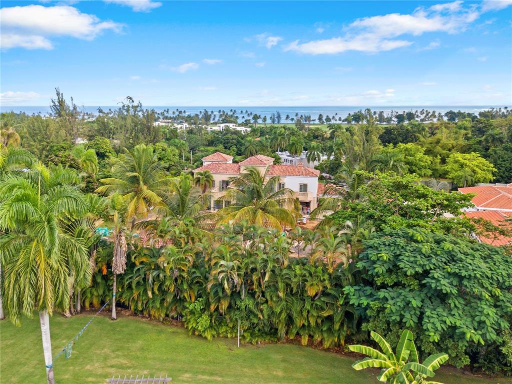 THE ESTATES AT DORADO BEACH - Residential