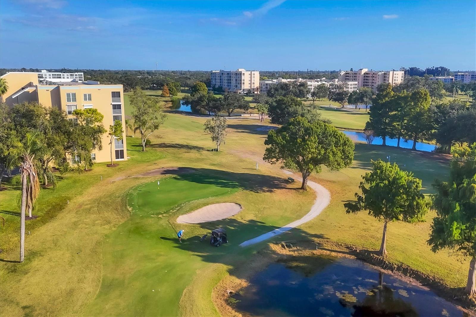 THE WOODS AT PINEBROOK - Residential