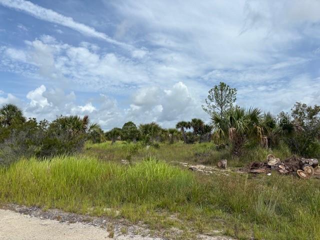 Investment property for future use on this 1/4 acre lot. Utilities are currently not present, however, electric lines are not far away. It does not appear that the lot is currently buildable at this time. It is a recorded Plat with roads in, just no other infrastructure
