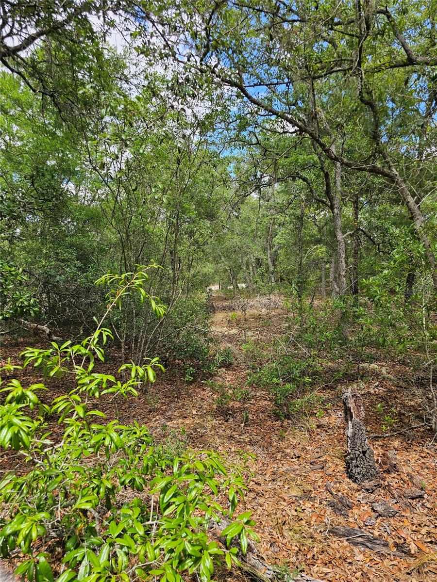 AERO ESTATES UNREC - Land