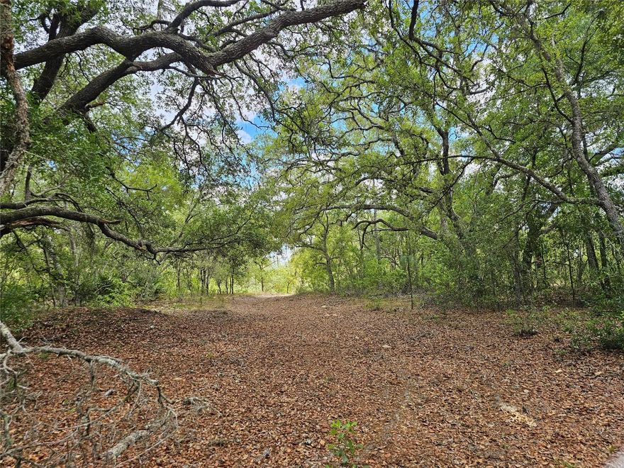 Dream Home Acreage! This 2.65 acres is heavily treed yet cleared in all the right places for buyers' convenience. High and dry, NO flood zone! NO HOA!! Homes only area within a rapidly growing region of Florida. Ocala, Inverness and The Gulf of America are just a 30-minute drive. Live the private, peaceful country life, yet close to all the urban amenities. There are two addresses. 2950 W Pompano Lane, Dunnellon, FL 34433 is being used for tax purposes. Per Citrus County, can easily be divided into two separate parcels. Don't wait! Call today for your chance to view this beautiful property and make it yours.