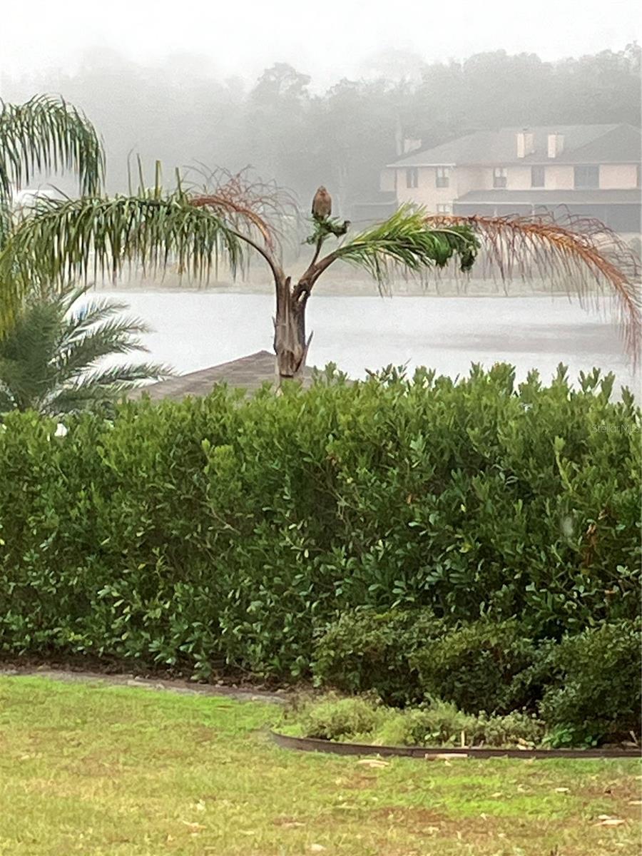 DOMINGO REYES GRANT - Residential