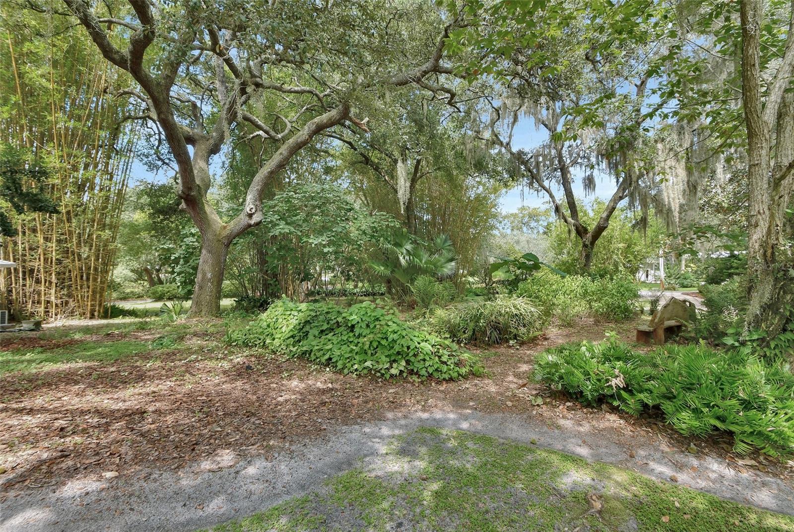 DOMINGO REYES GRANT - Residential