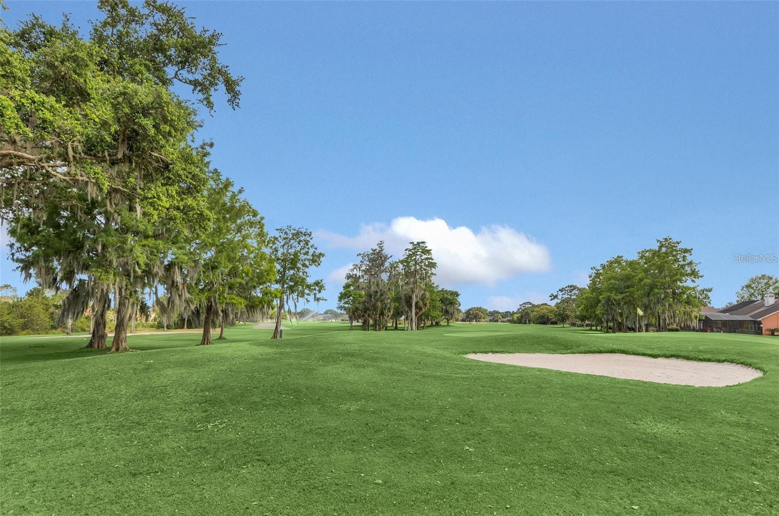 CAPE ORLANDO ESTATES - Residential