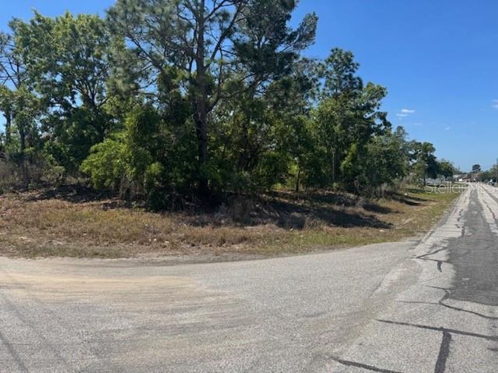 Photo of 11364 Patch Street, Spring Hill, FL 34609 (MLS # W7884849)