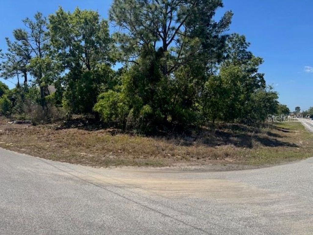 Photo of 11364 Patch Street, Spring Hill, FL 34609 (MLS # W7884849)