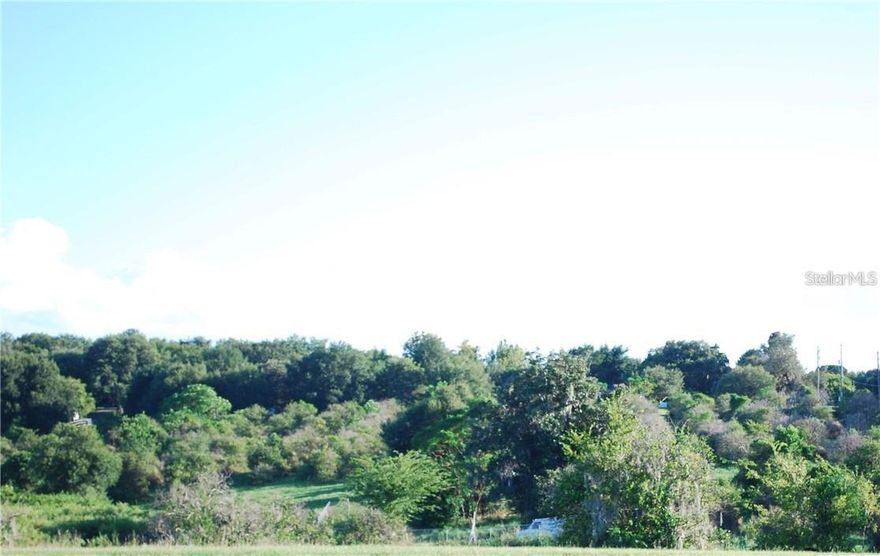 Approximately 14 acres on SEVENTH STREET! Property is adjacent to Montverde Academy. Buyers are encouraged to conduct due diligence to verify all details.
   *USE OF FARBAR VACANT LAND CONTRACT ONLY*
*This listing contains 2 parcels that must be sold together*